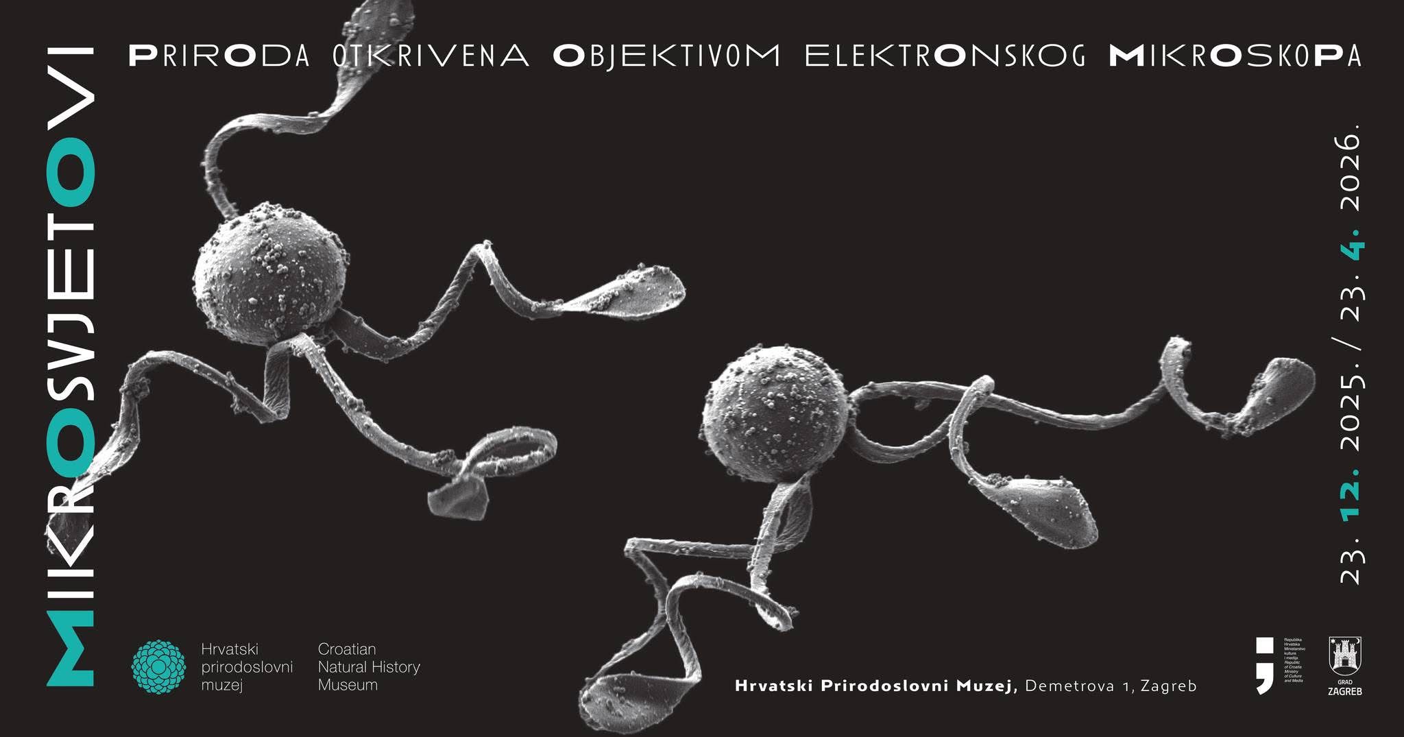 Izložba ‘Mikrosvjetovi – priroda otkrivena objektivom elektronskog mikroskopa’ u HPM